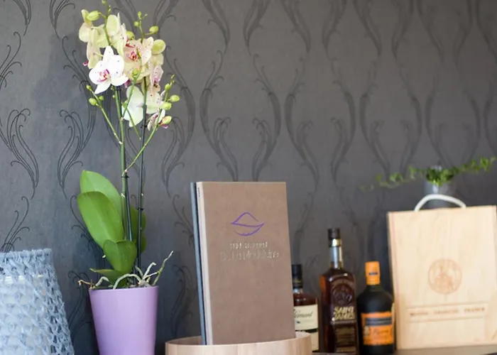 Ξενοδοχείο Logis Restaurant De La Madeleine 3*